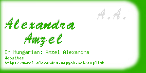 alexandra amzel business card